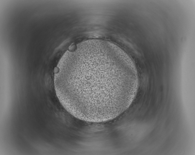 X0000111891446200908061324