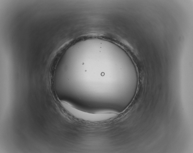 X0000111891448200908061324