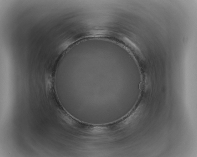 X0000111891449200908061324