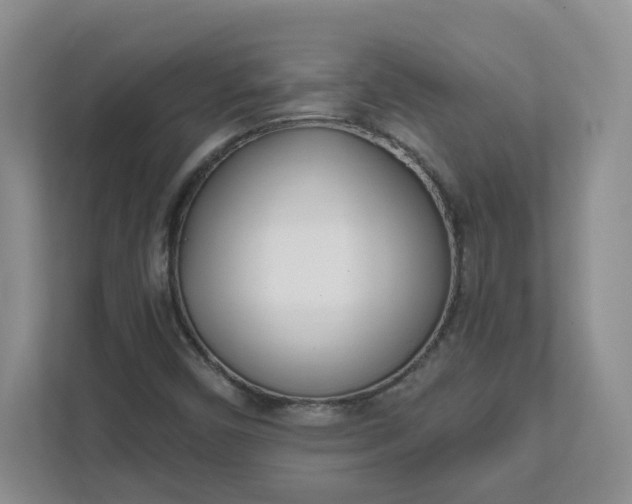 X0000111891450200908061324