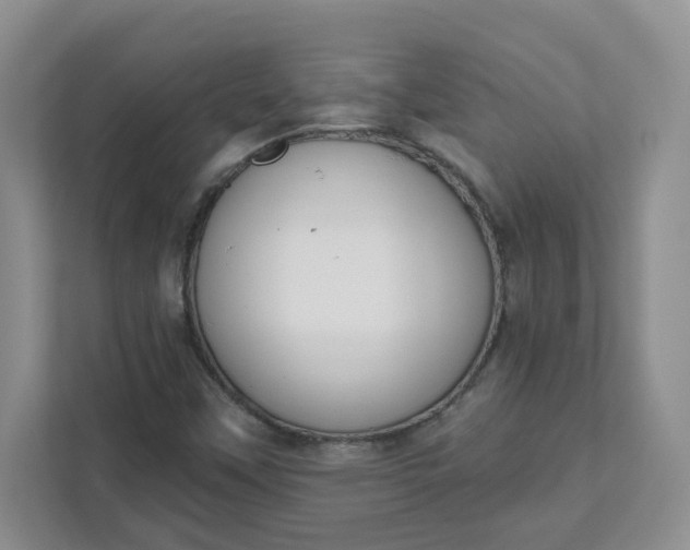 X0000111891451200908061324