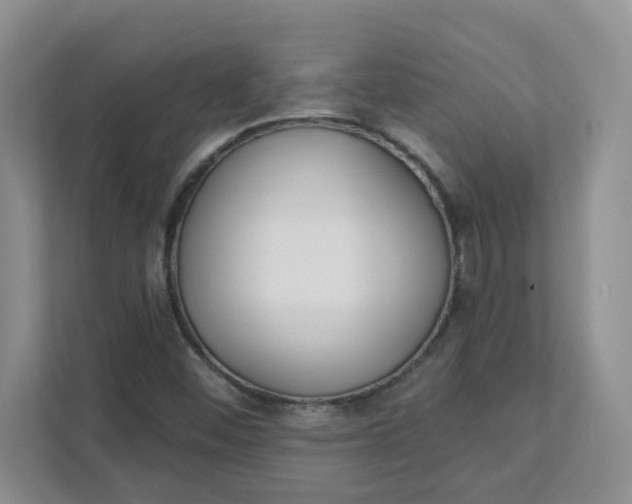 X0000111891452200908061324