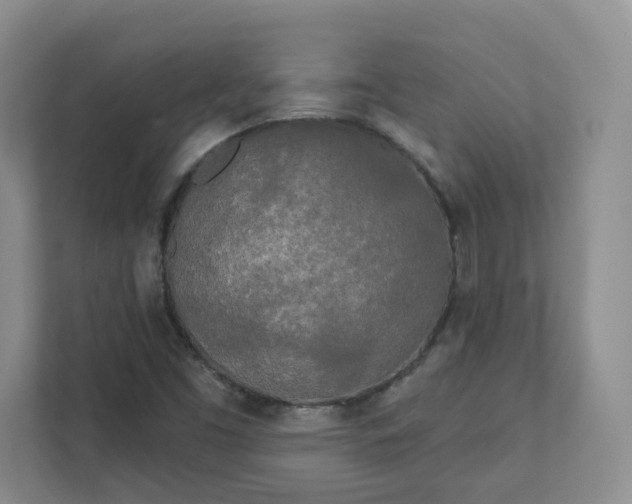 X0000111891453200908061324