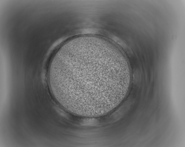 X0000111891454200908061324