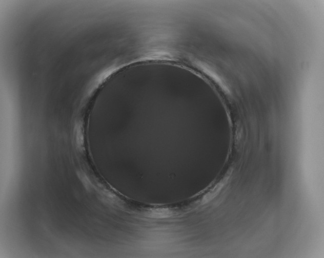 X0000111891455200908061324