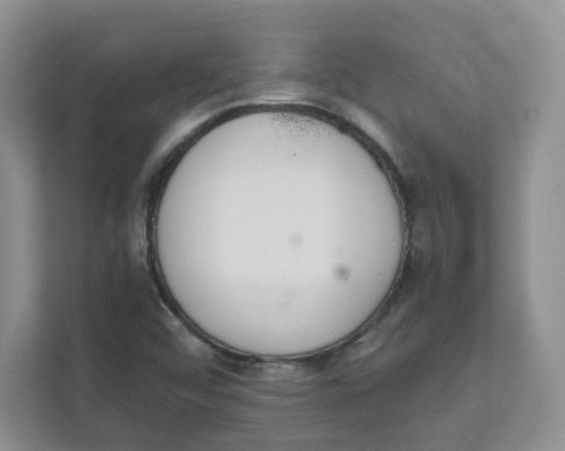 X0000111891456200908061324