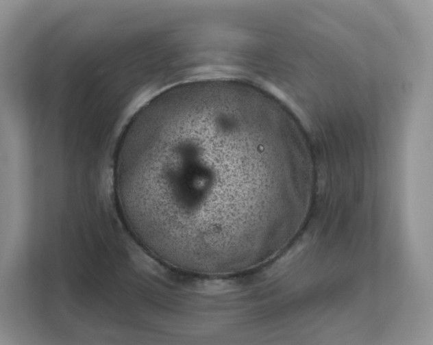 X0000111891459200908061324