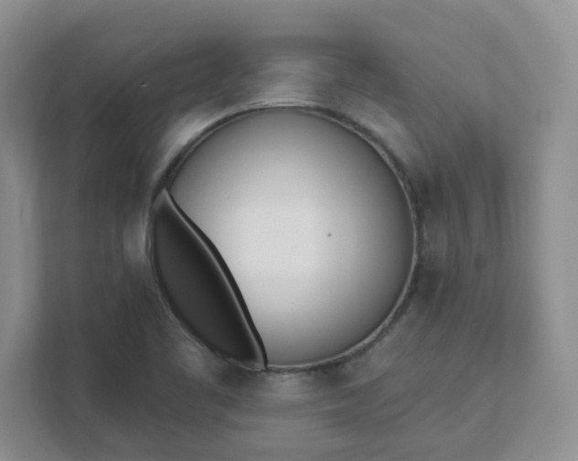 X0000111891461200908061324