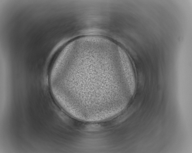 X0000111891462200908061324