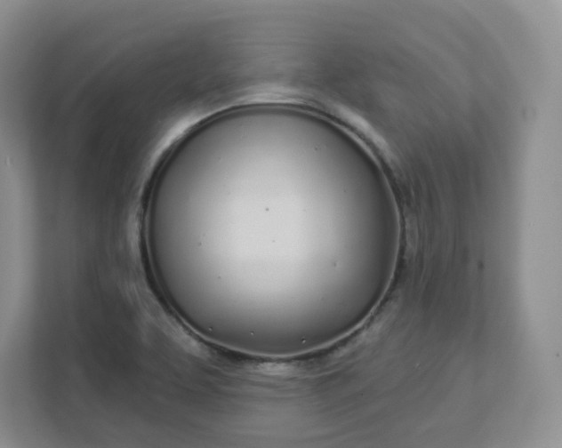 X0000111891463200908061324