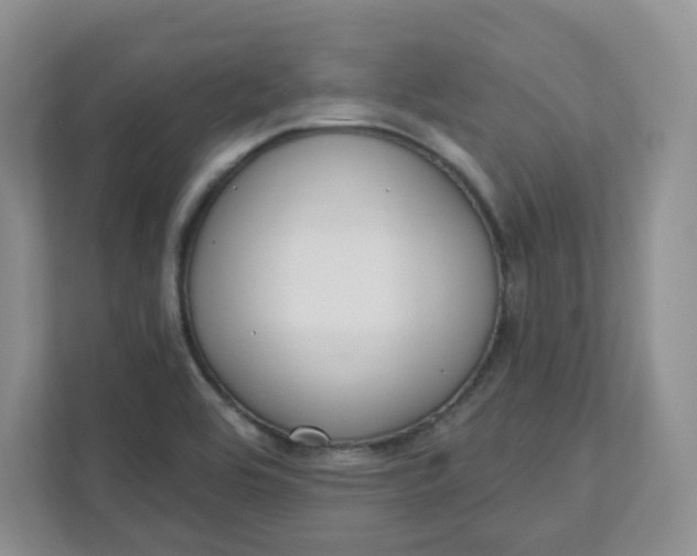 X0000111891464200908061324