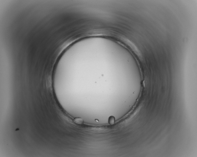 X0000111891465200908061324