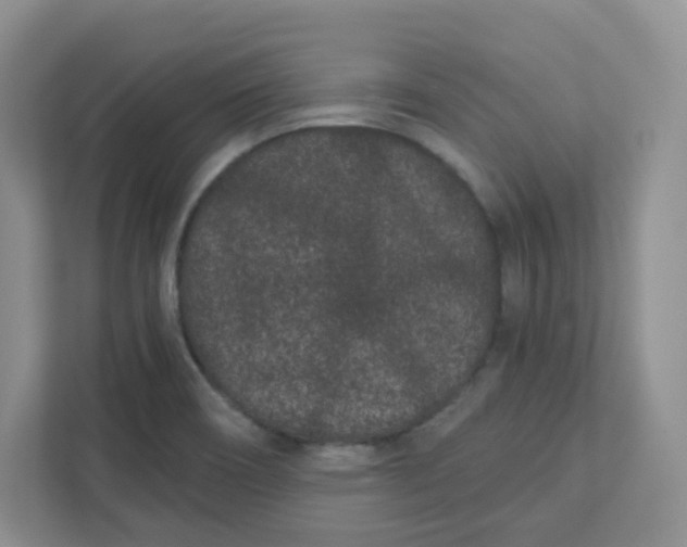 X0000111891466200908061324