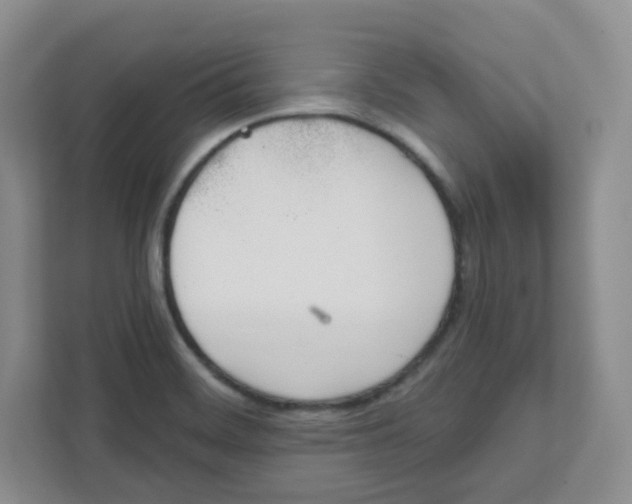 X0000111891468200908061324