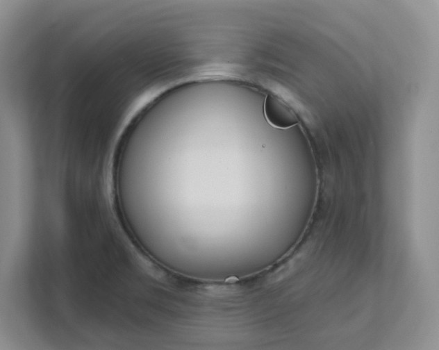 X0000111891469200908061324