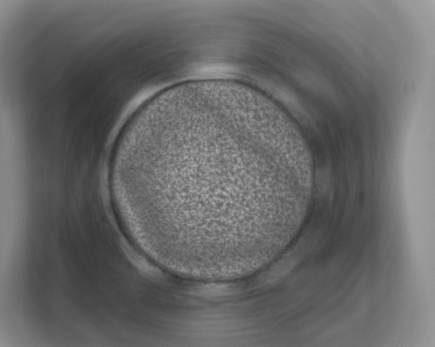 X0000111891470200908061324