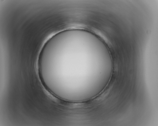 X0000111891471200908061324