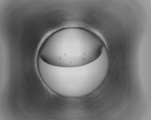 X0000111891472200908061324