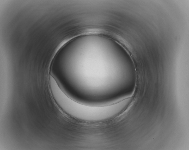 X0000111891473200908061324