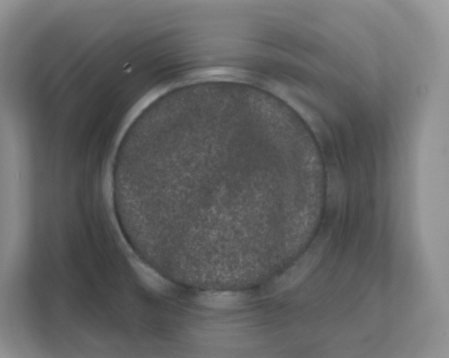 X0000111891474200908061324