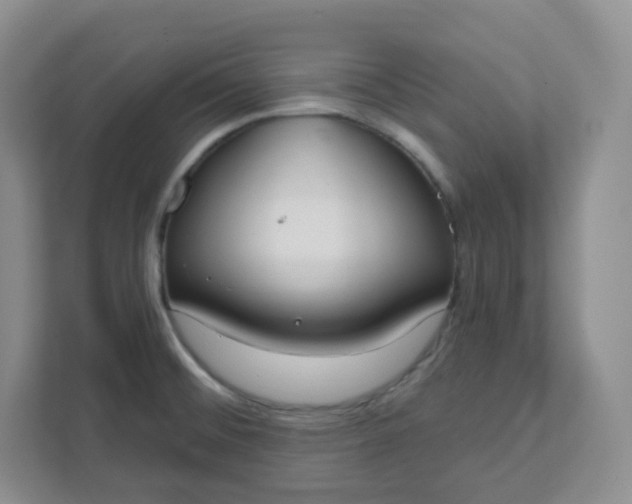 X0000111891476200908061324