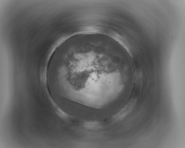 X0000111891477200908061324