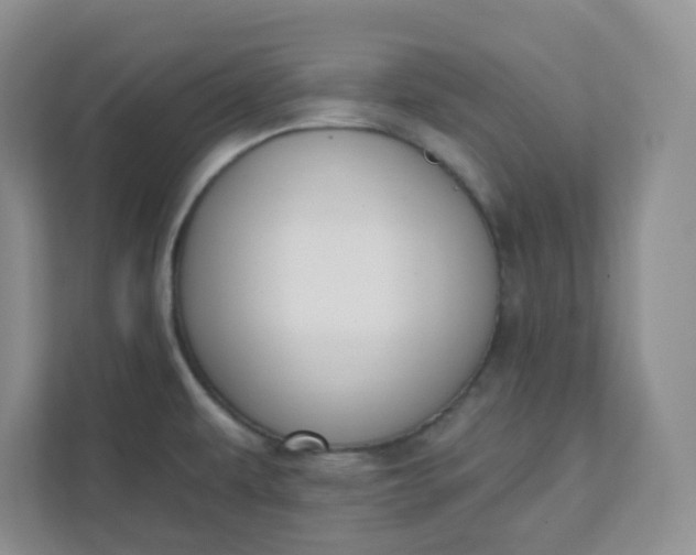 X0000111891479200908061324