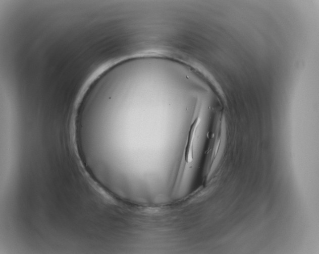 X0000111891480200908061324