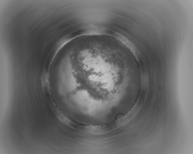 X0000111891481200908061324