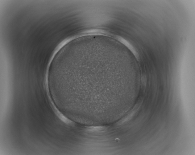 X0000111891482200908061324