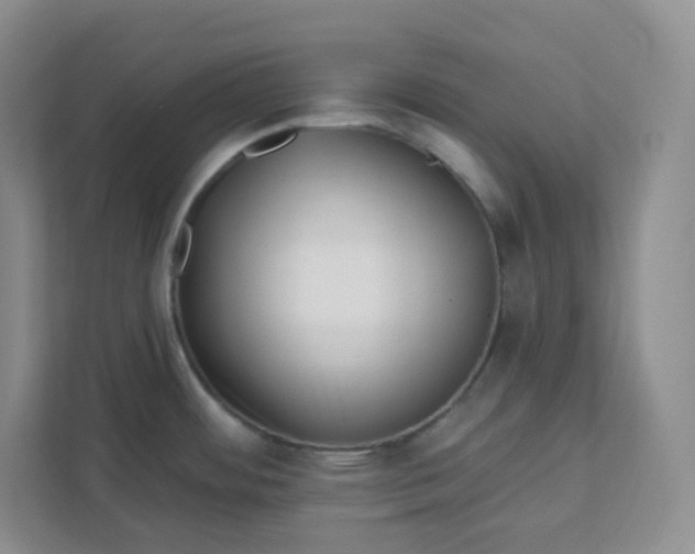 X0000111891484200908061324