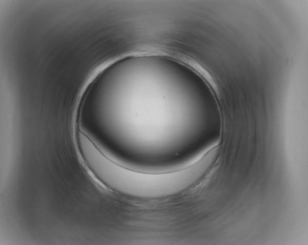 X0000111891485200908061324