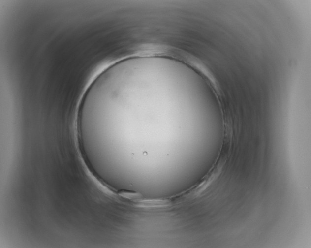 X0000111891487200908061324