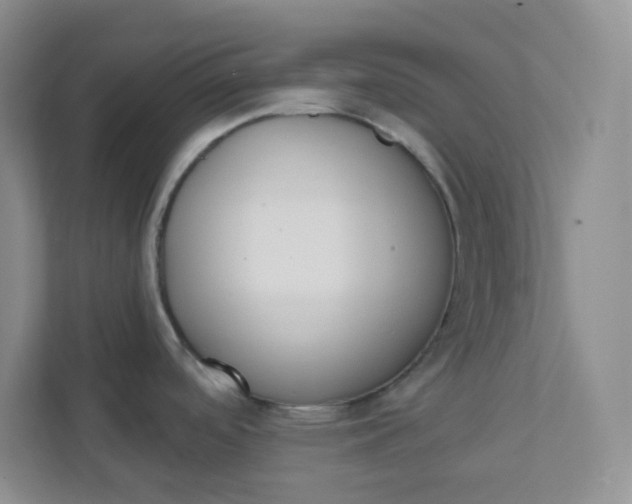 X0000111891488200908061324