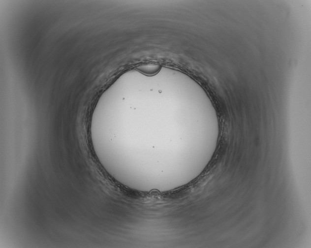 X0000111891489200908061323