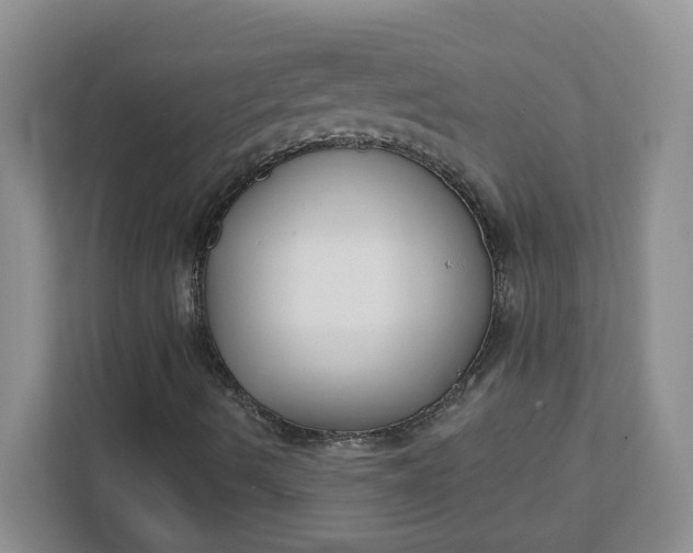 X0000111891490200908061323