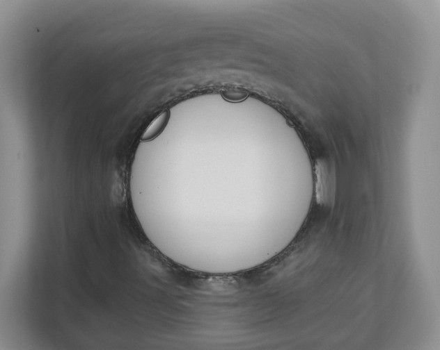 X0000111891491200908061323