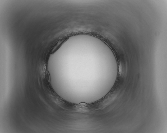 X0000111891492200908061323