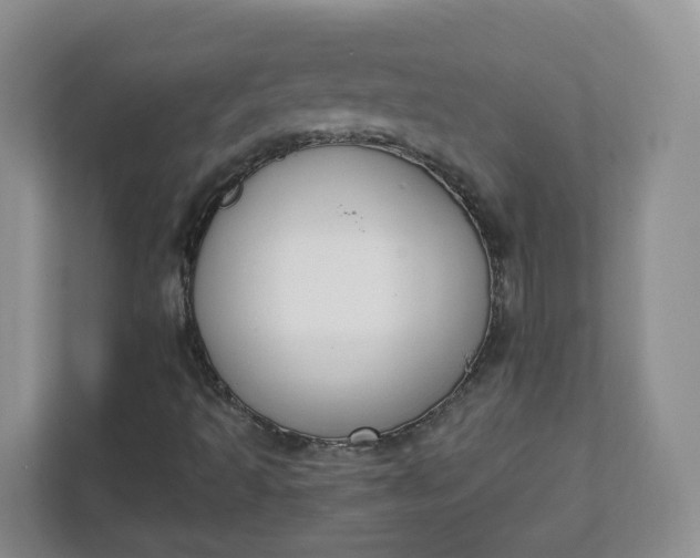 X0000111891493200908061323