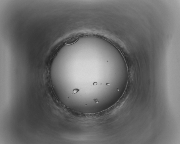 X0000111891494200908061323