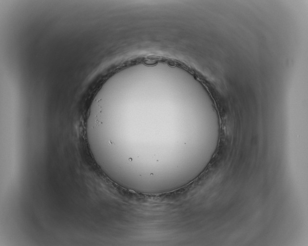 X0000111891495200908061323