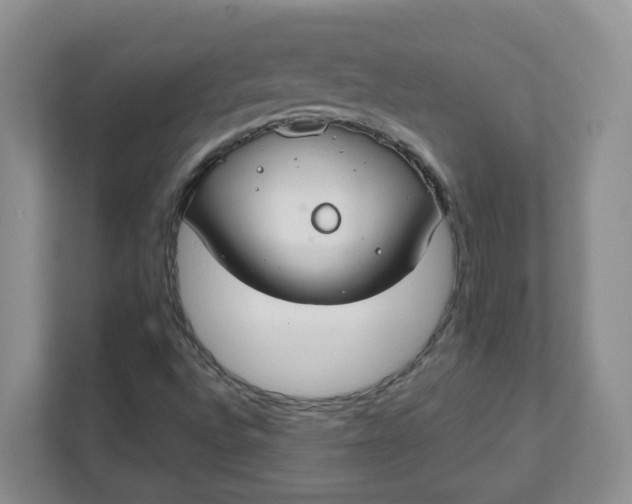 X0000111891496200908061323