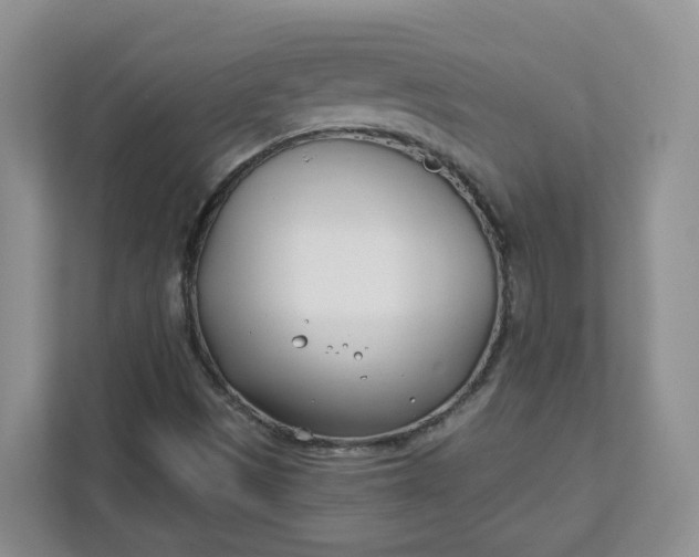 X0000111891497200908061323