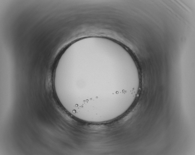 X0000111891498200908061323