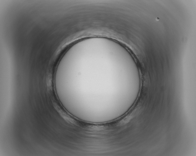 X0000111891499200908061323