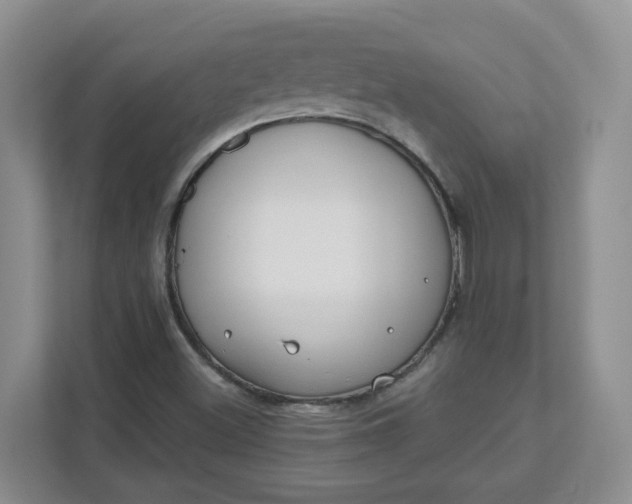 X0000111891500200908061323