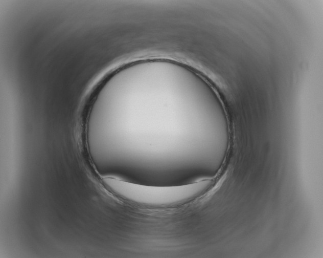 X0000111891502200908061323