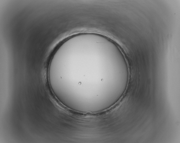 X0000111891503200908061323