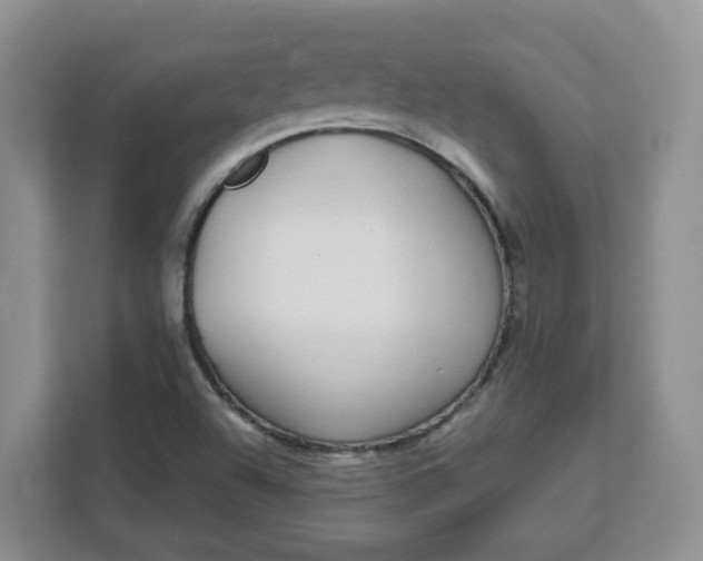 X0000111891504200908061323