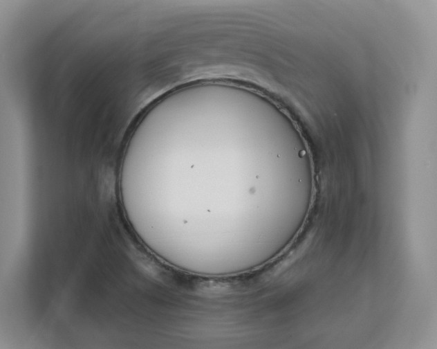 X0000111891505200908061323